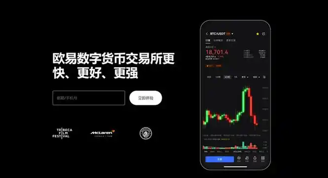 欧易平台展示图
